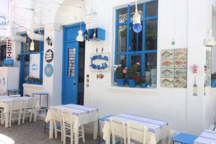 batti balik bozcaada bozcaada